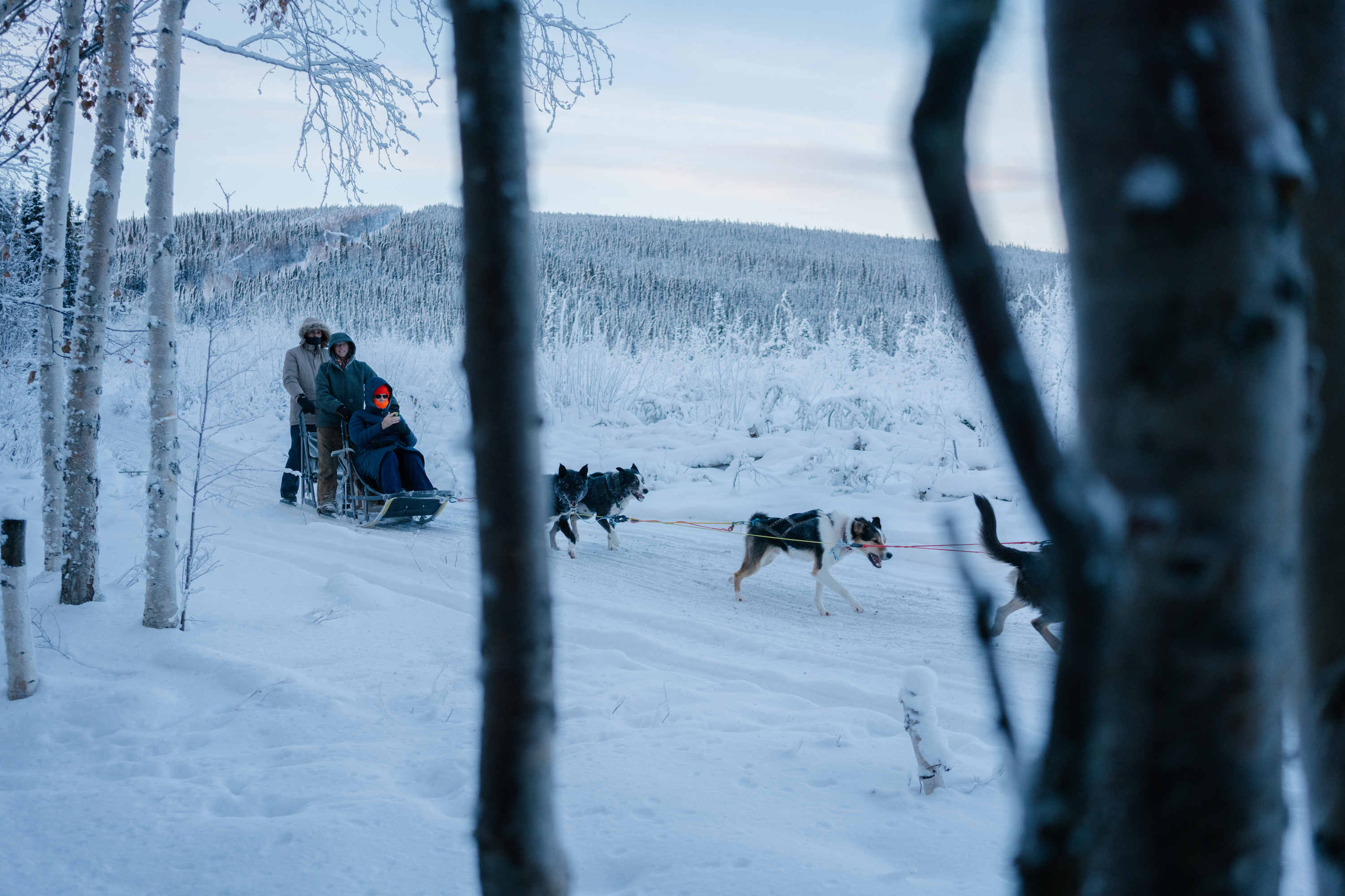 guests-can-choose-from-activities-such-as-dog-mushing-snowmobiling-walking-with-reindeer-and-more