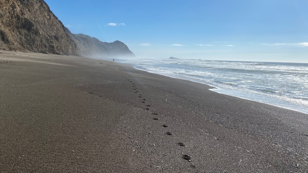 rei-point-reyes-national-seashore-backpacking-2