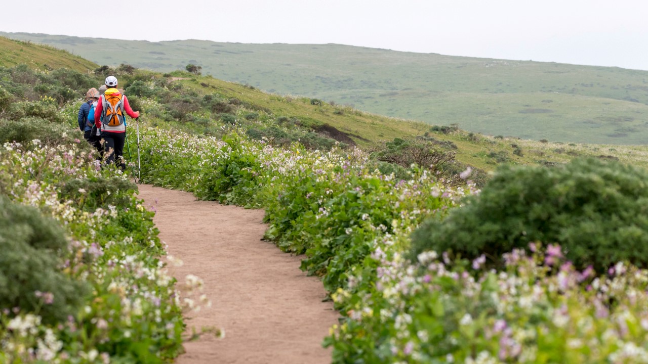 rei-point-reyes-national-seashore-backpacking-3