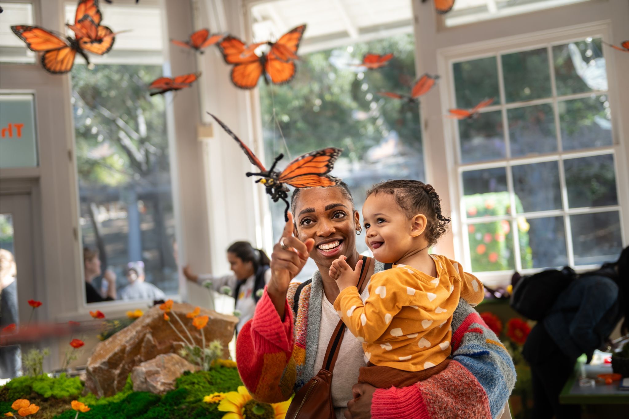 butterfly-season-in-the-spring