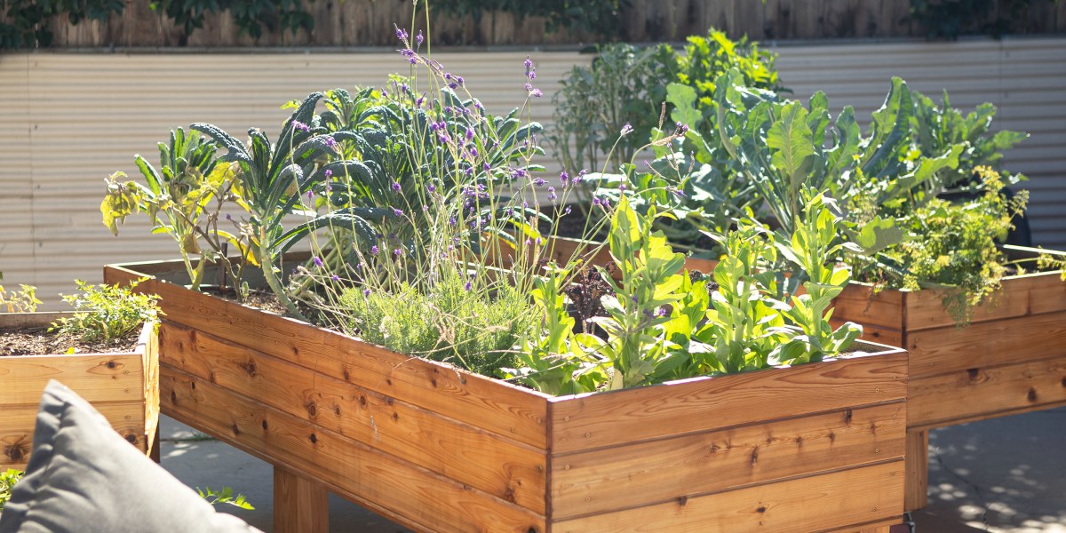 Wooden Raised Beds with Veggies