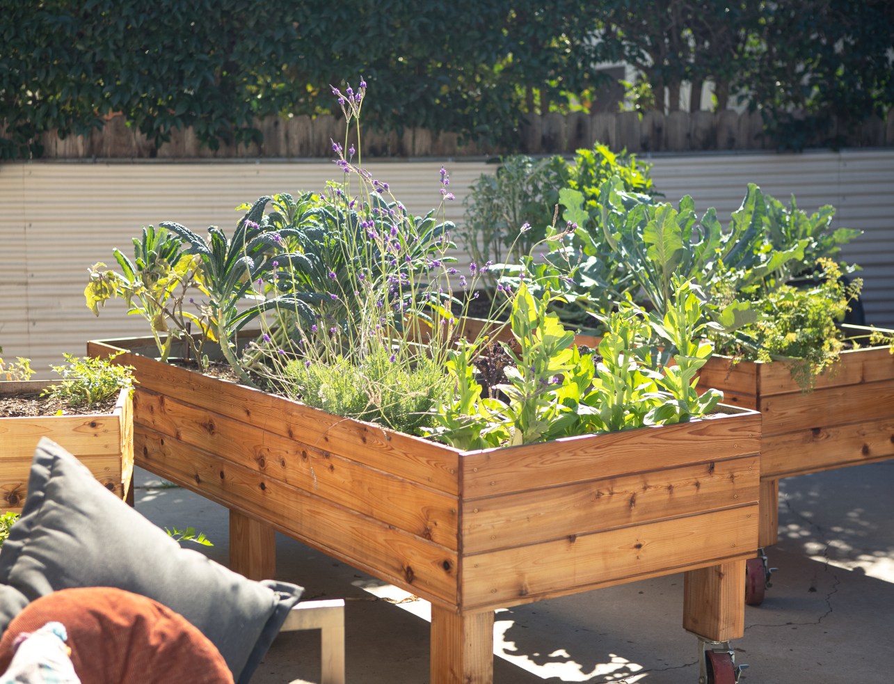 It's Not Too Late to Plant These Veggies in Your Summer Garden