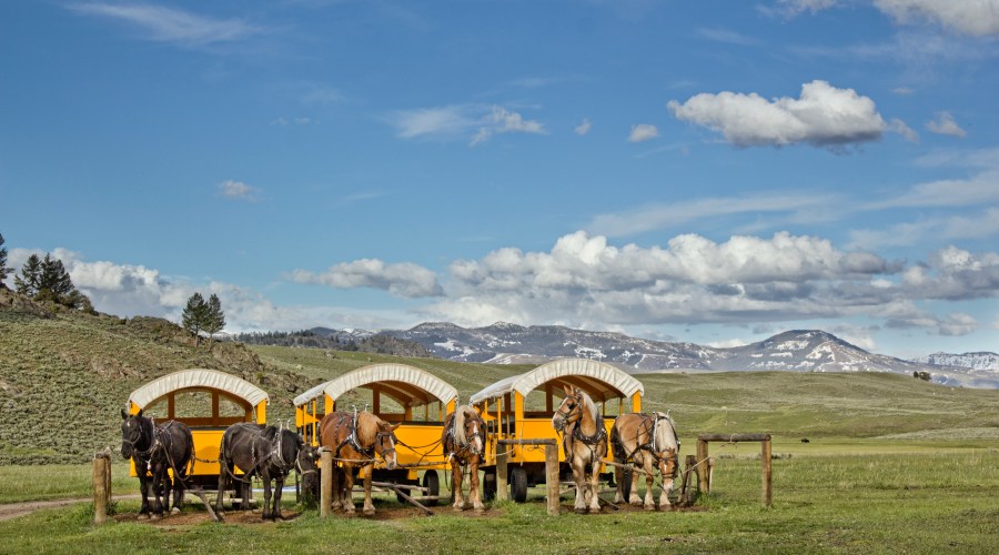roosevelt-lodge-yellowstone