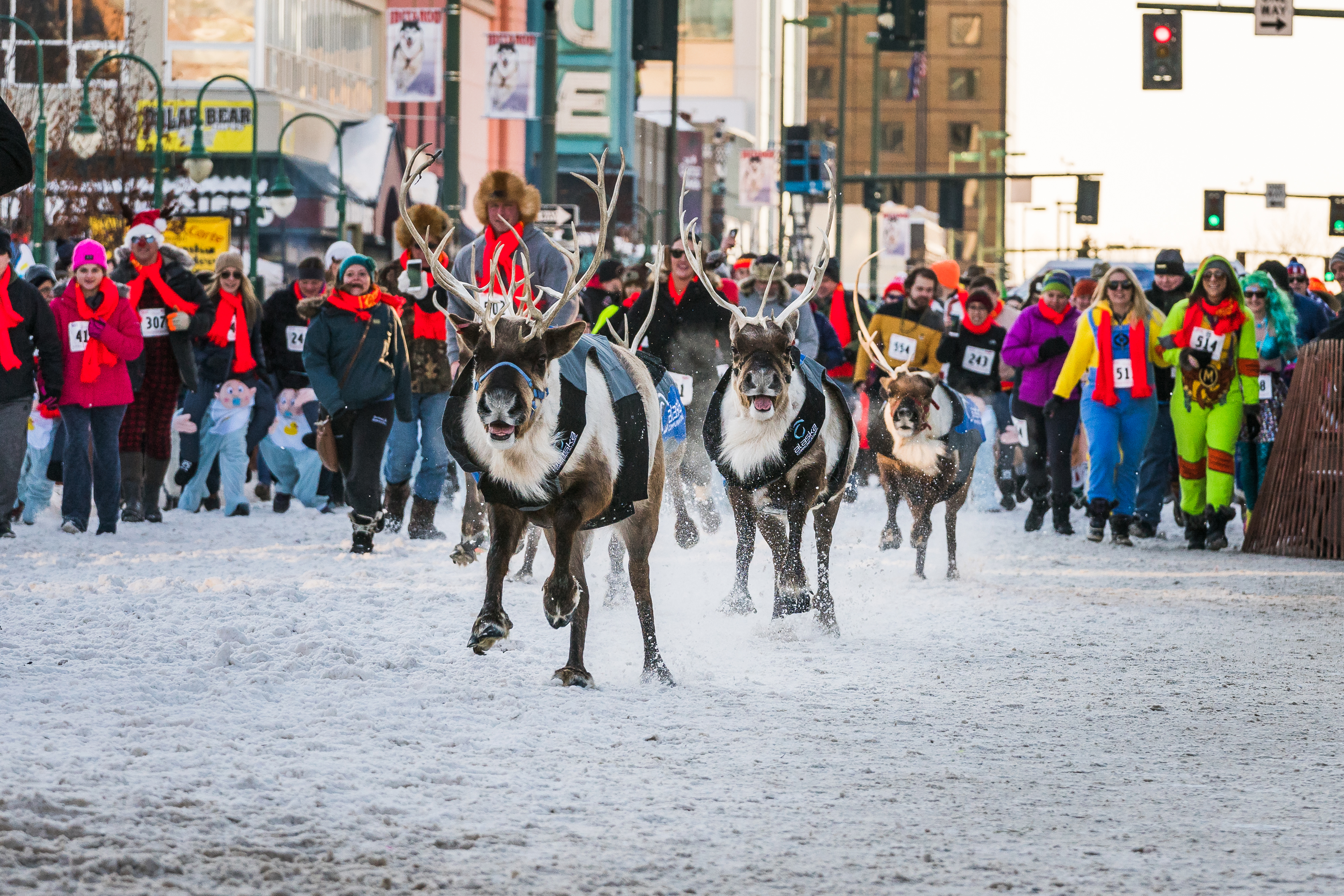 running-of-the-reindeer