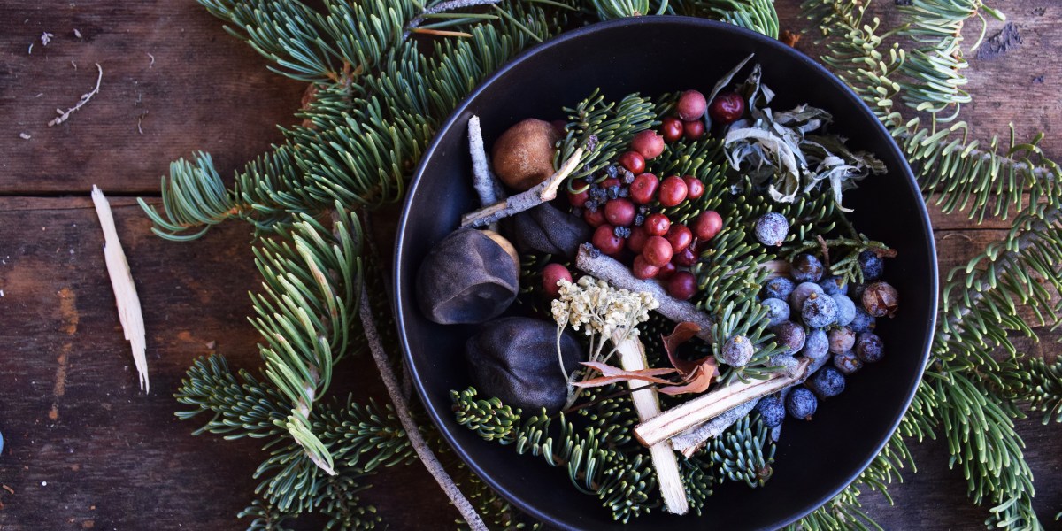 Foraging Wild Food with Pascal Baudar