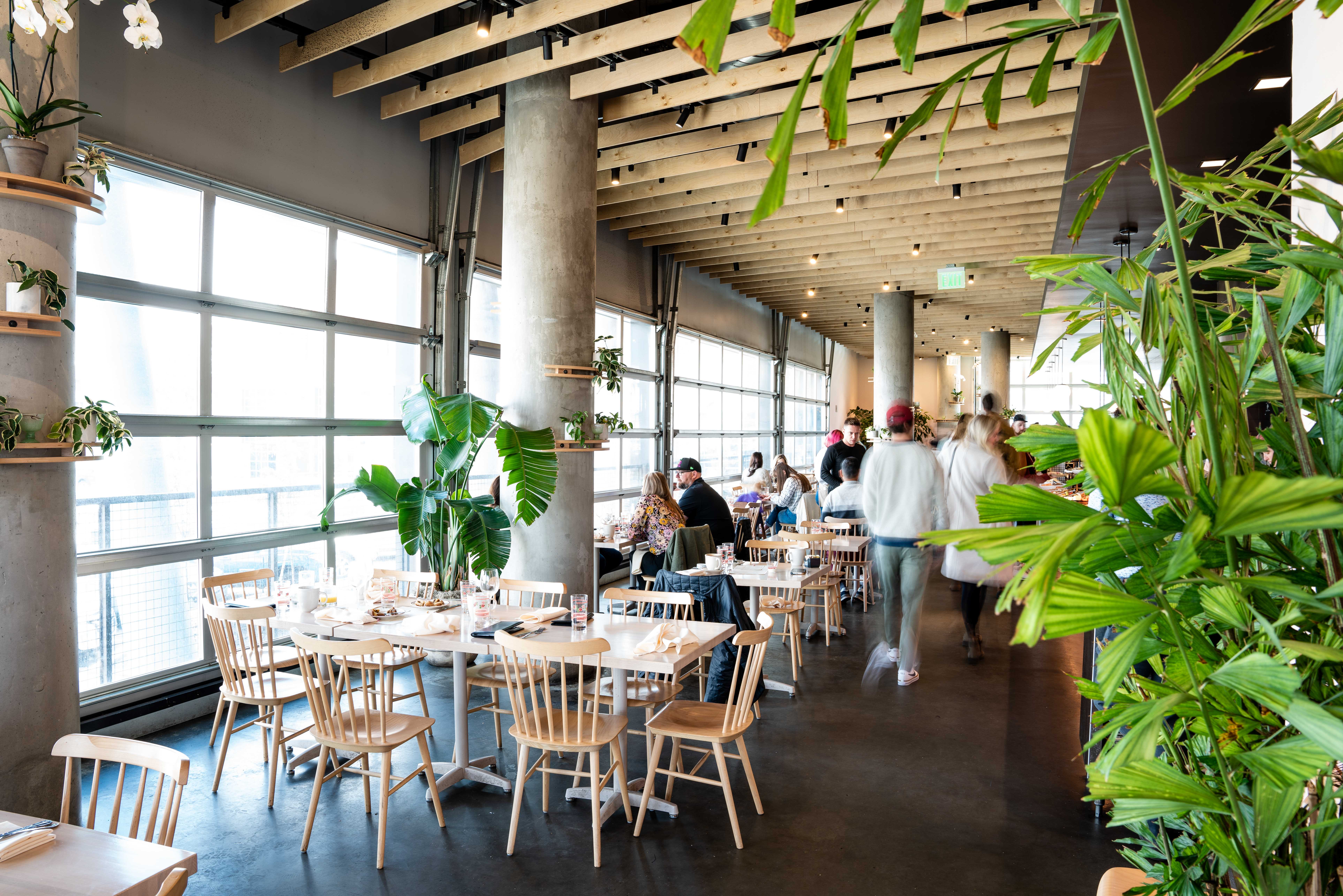 safta-interiors