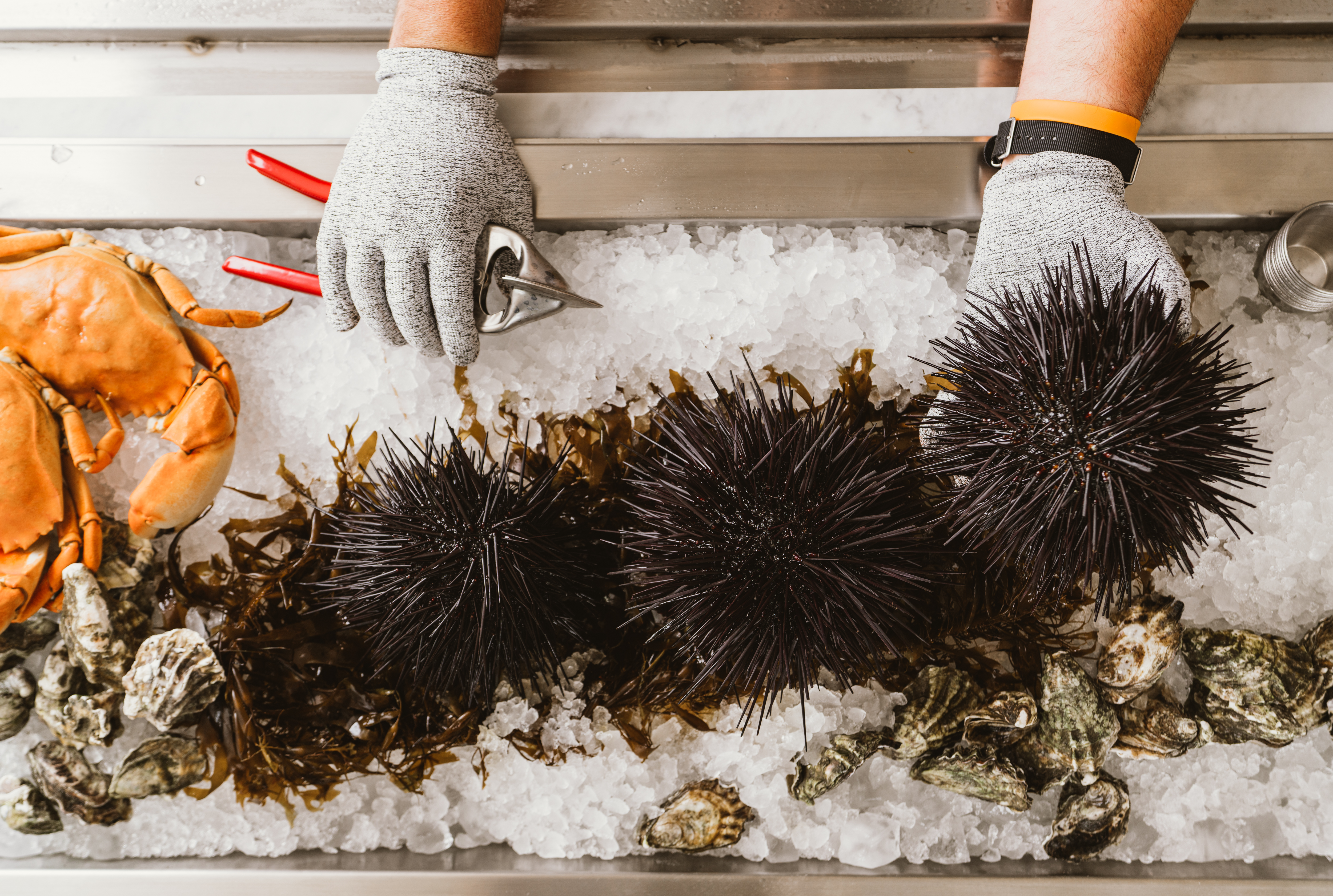 santa-barbera-uni