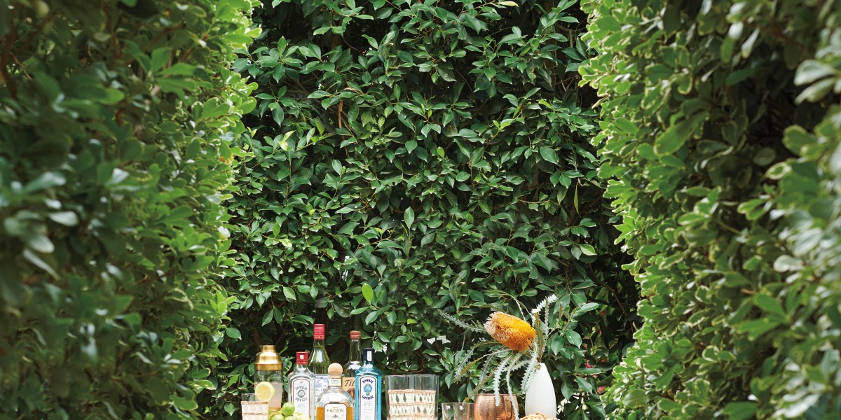 Serena & Lily's New Del Mar Store Bar Cart