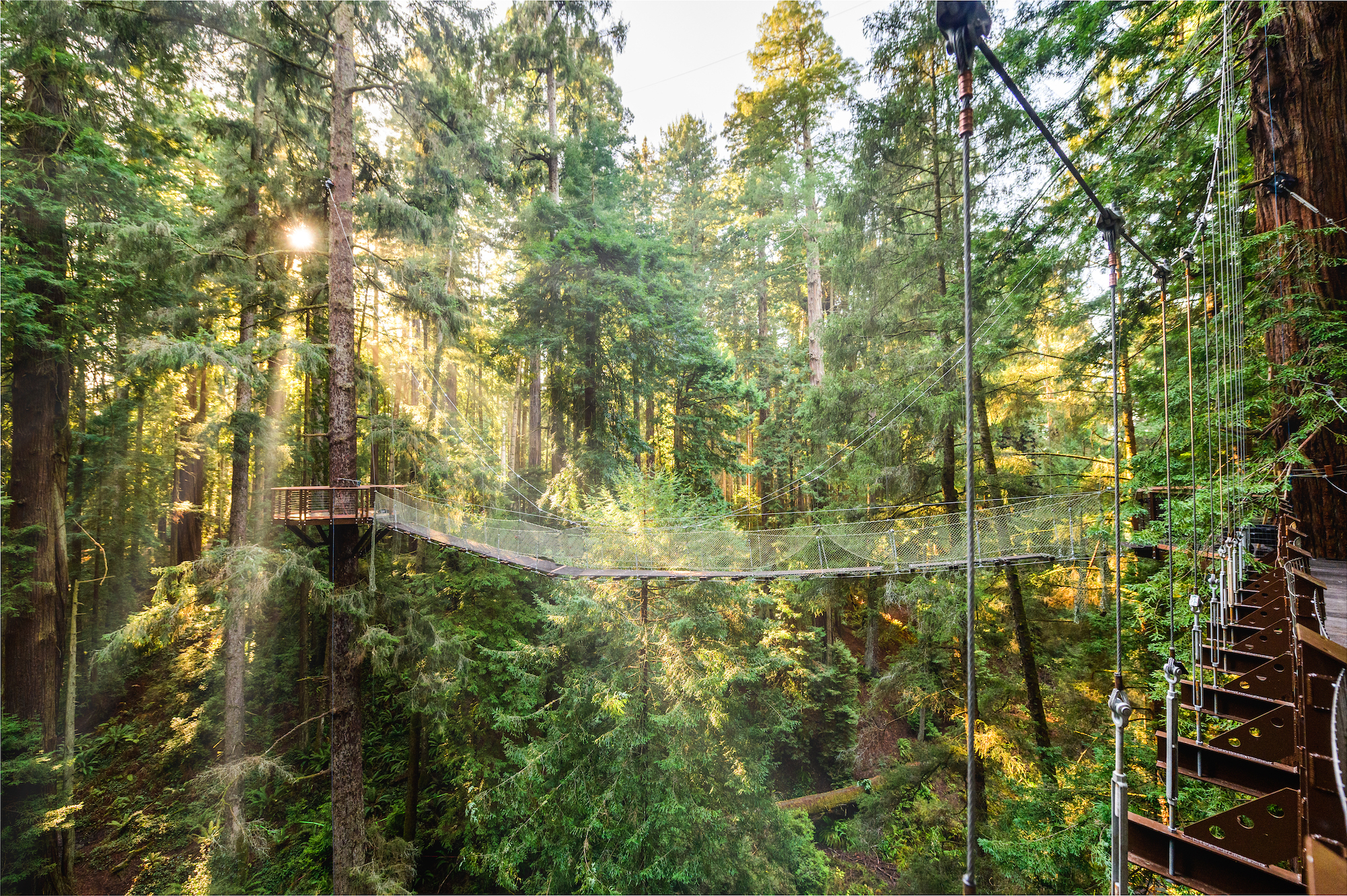 skywalk-10-3