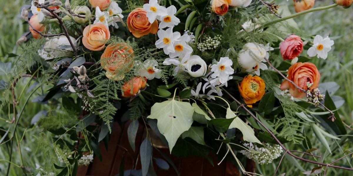 Spring Bulbs Palette Daffodils