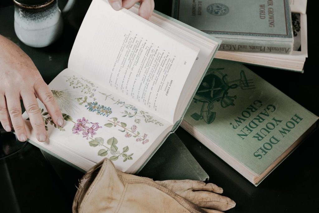 Spring bulbs Vintage Gardening Book