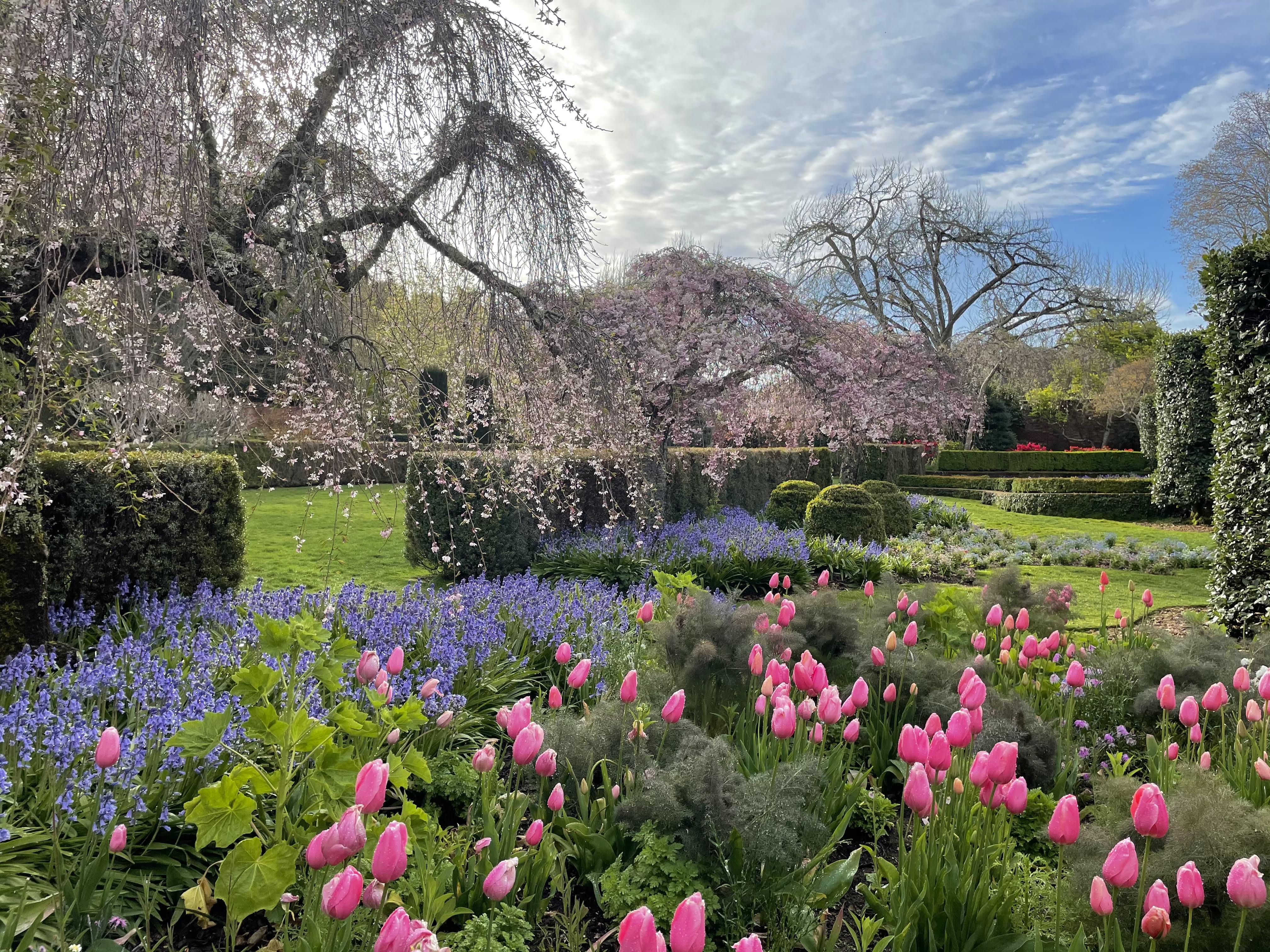 spring-morning-by-the-cottage-garden-beds
