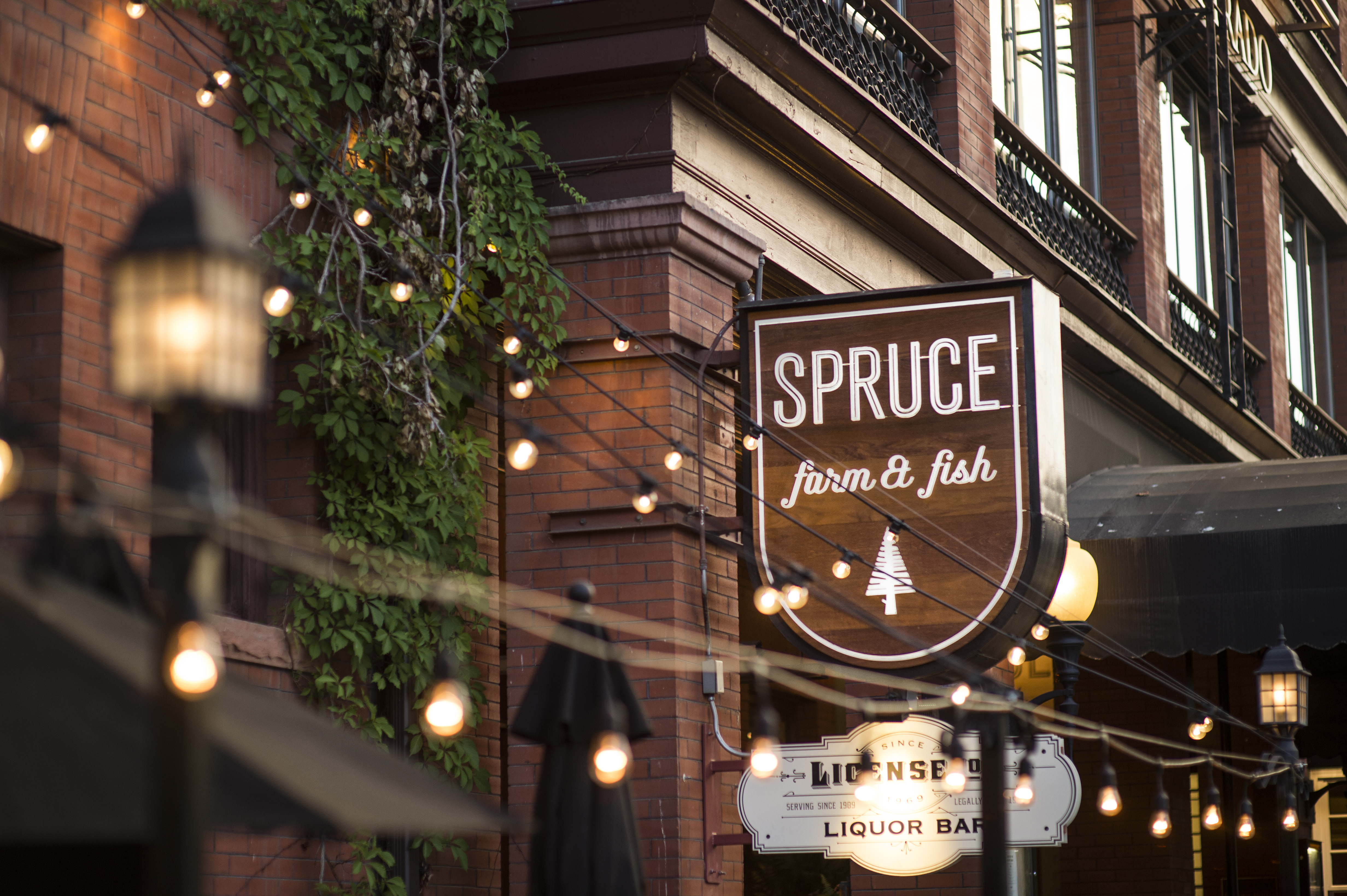 spruce_exterior-2_tim-romano