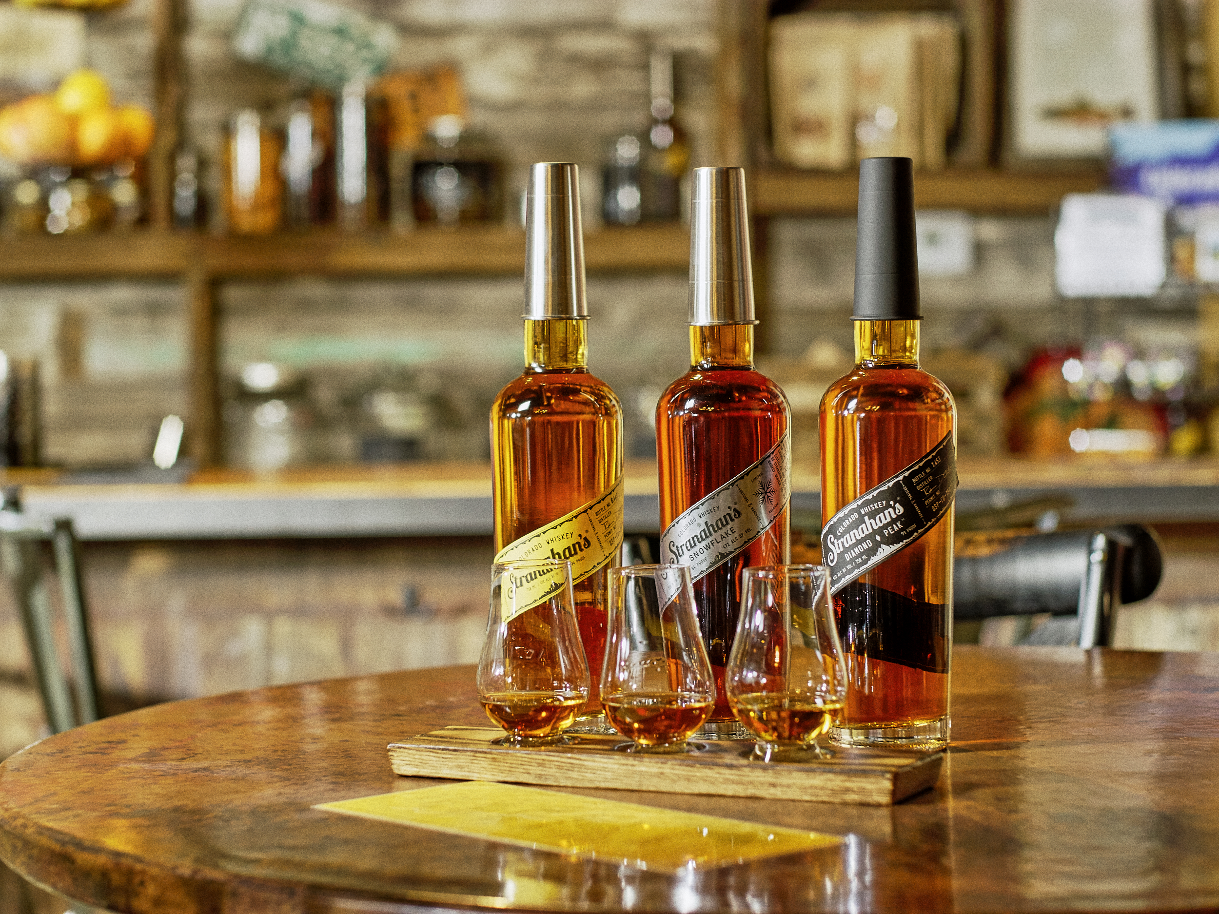 stranahans-loungefamilyshot