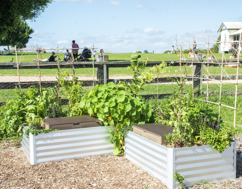 Subpod composters in raised beds