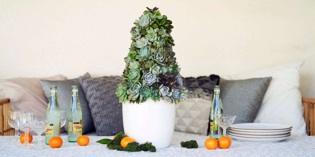DIY succulent tree for holiday table