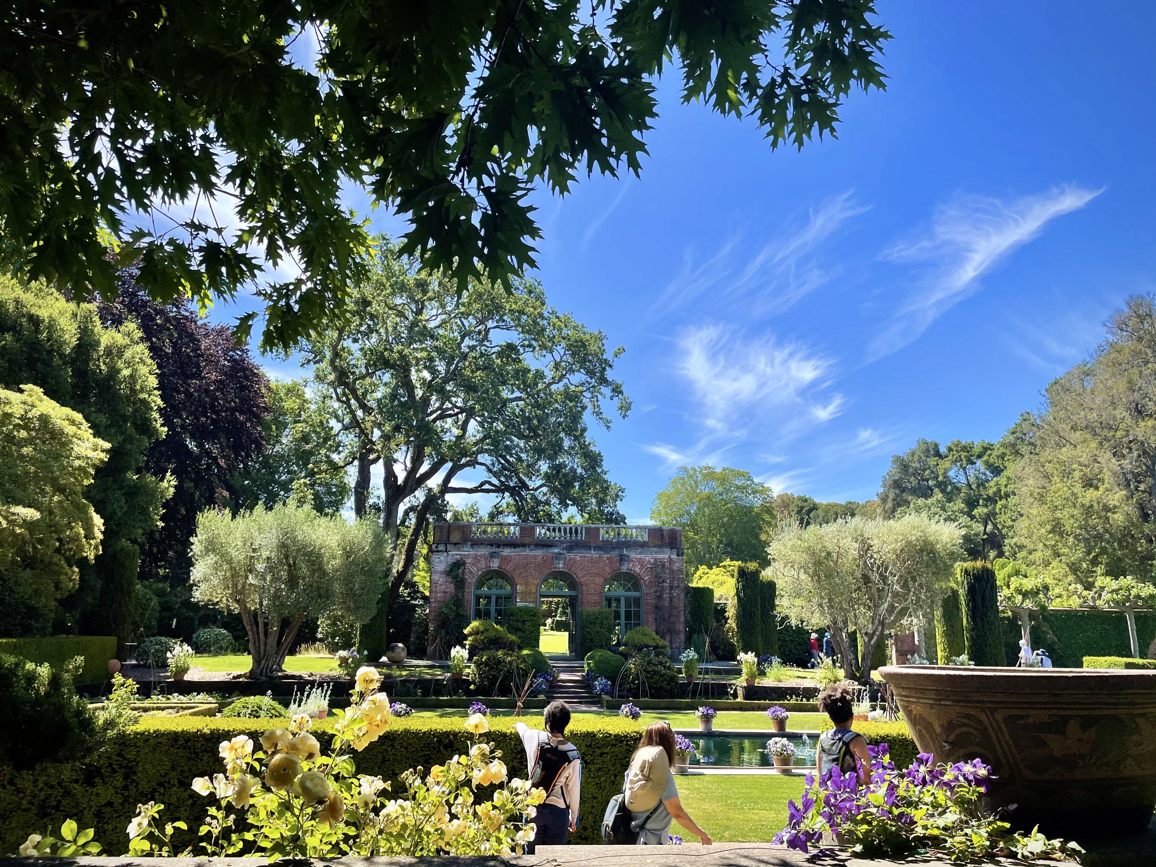 summer-morning-view-of-the-garden-house