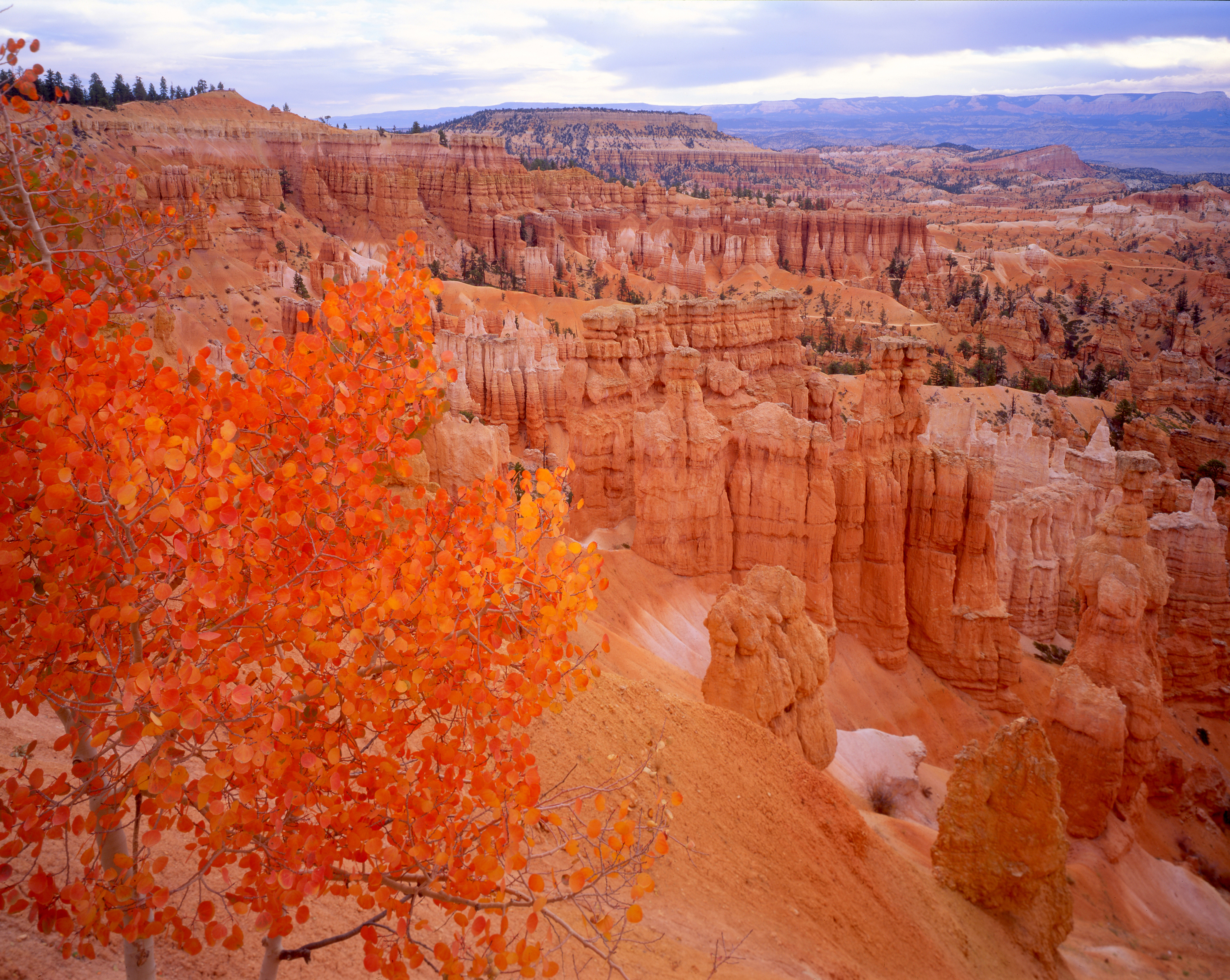 sunset-point_bryce-canyon-np_tom-till
