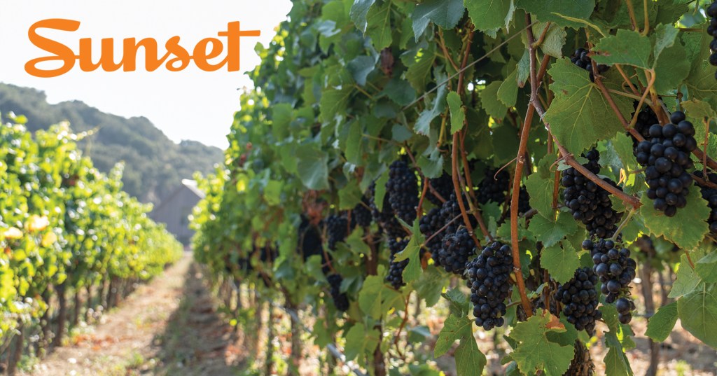 Welcome to Sunset’s 2020 Wine Issue—Our First Ever!