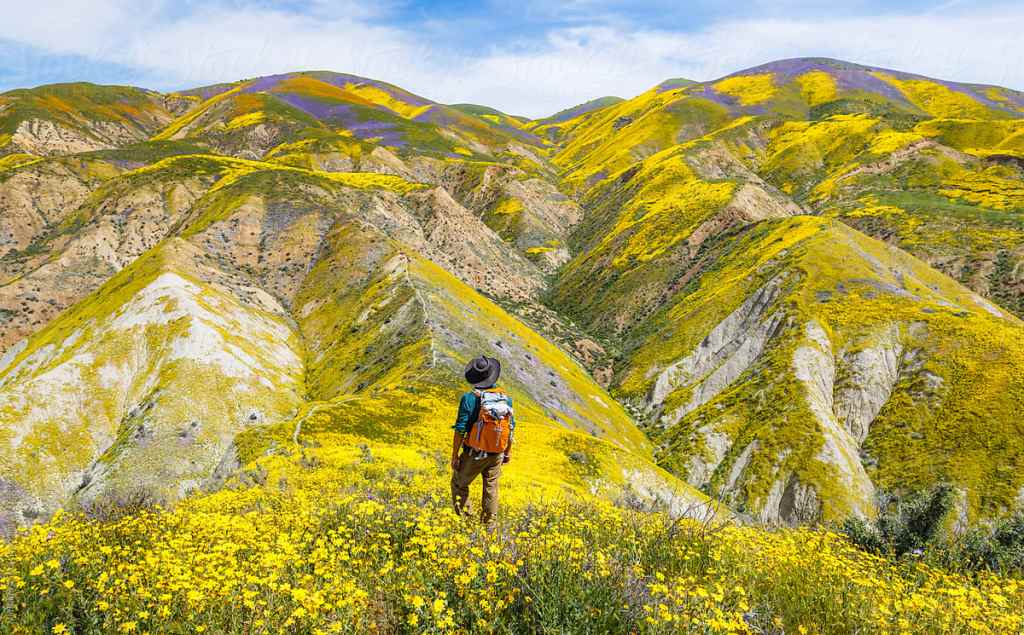 This Is What You Need to Take with You When Checking out Spring’s Super Blooms