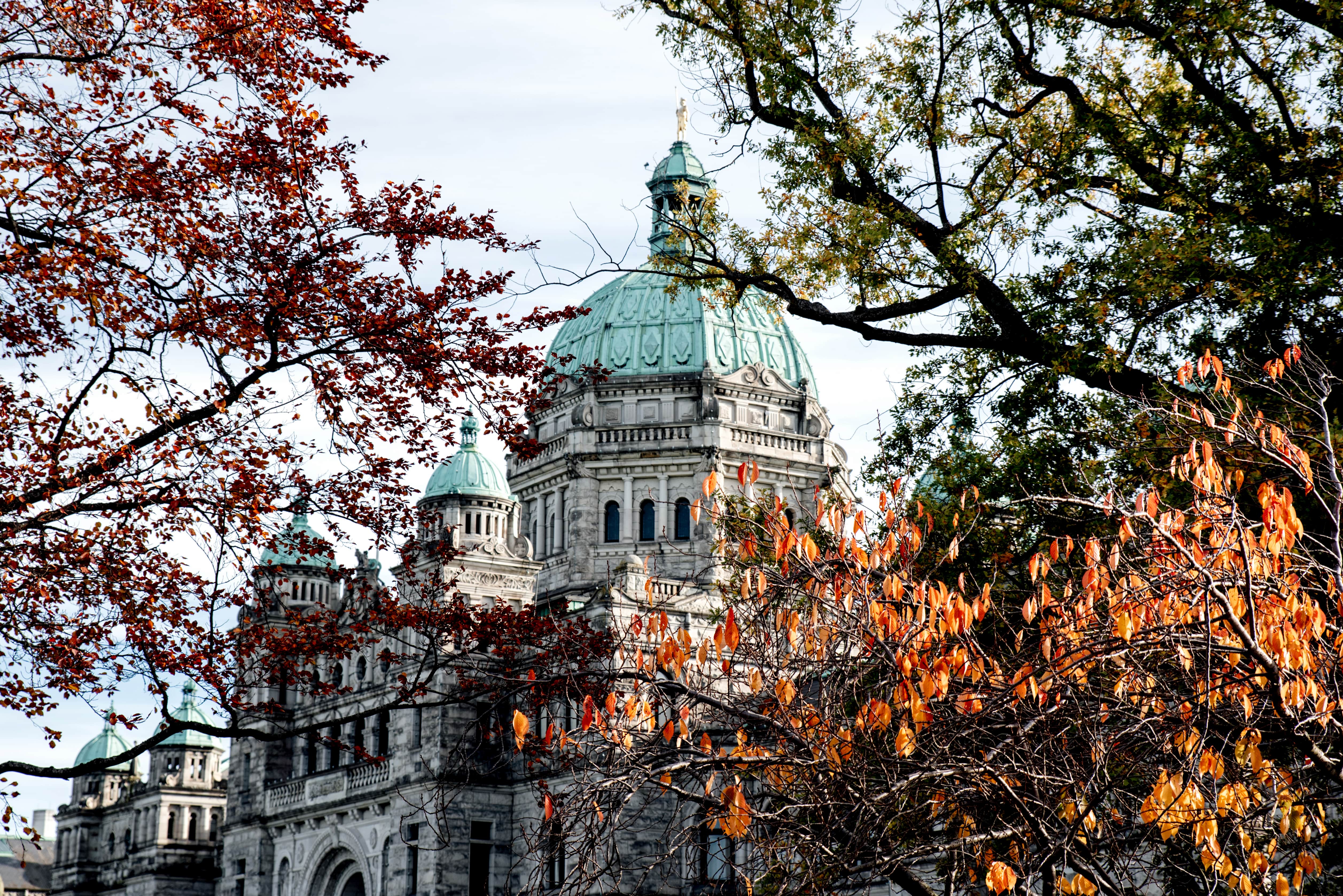 b-c-legislature
