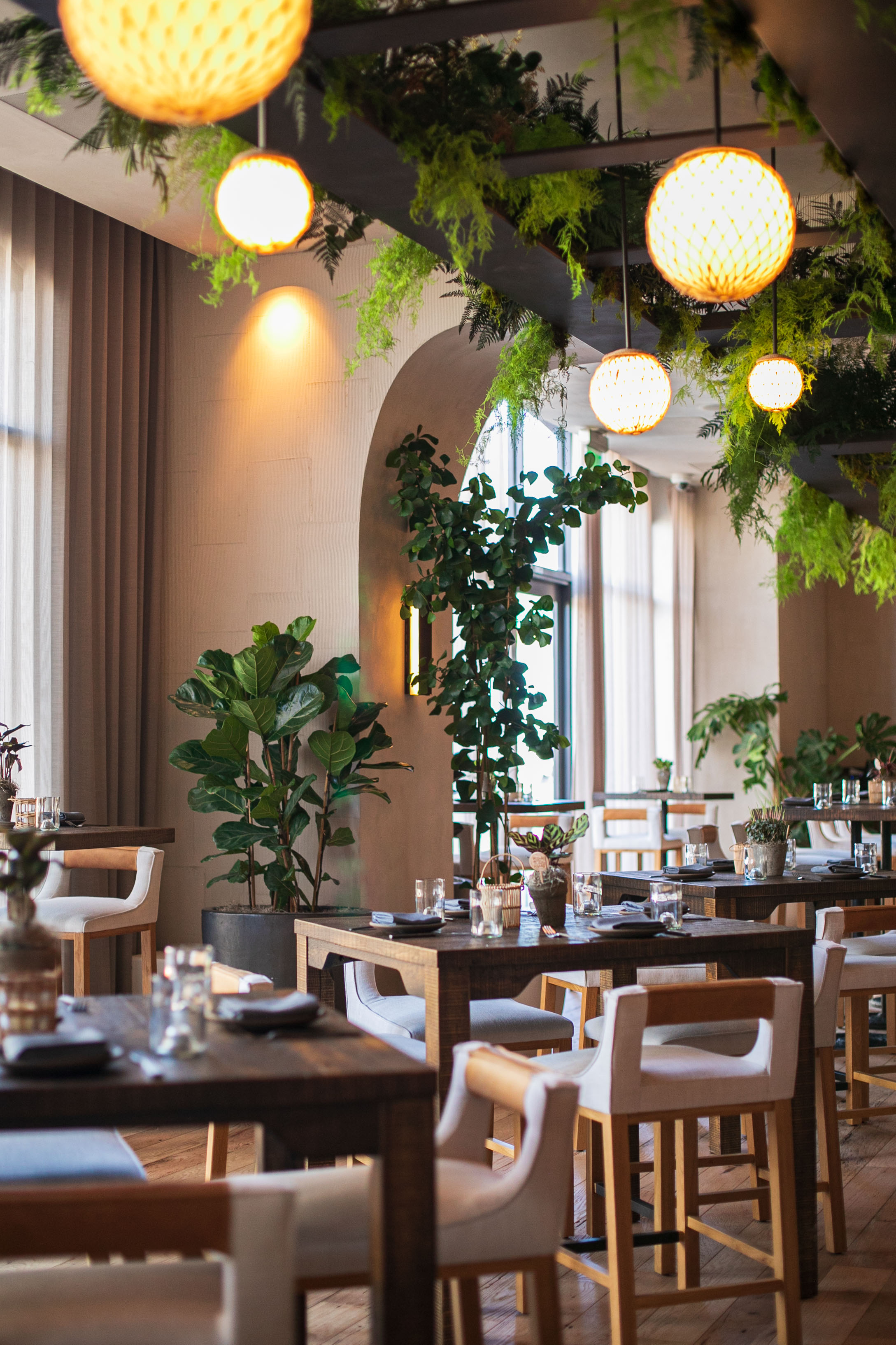 terrene-interior_4_photo-credit-conor-hagen