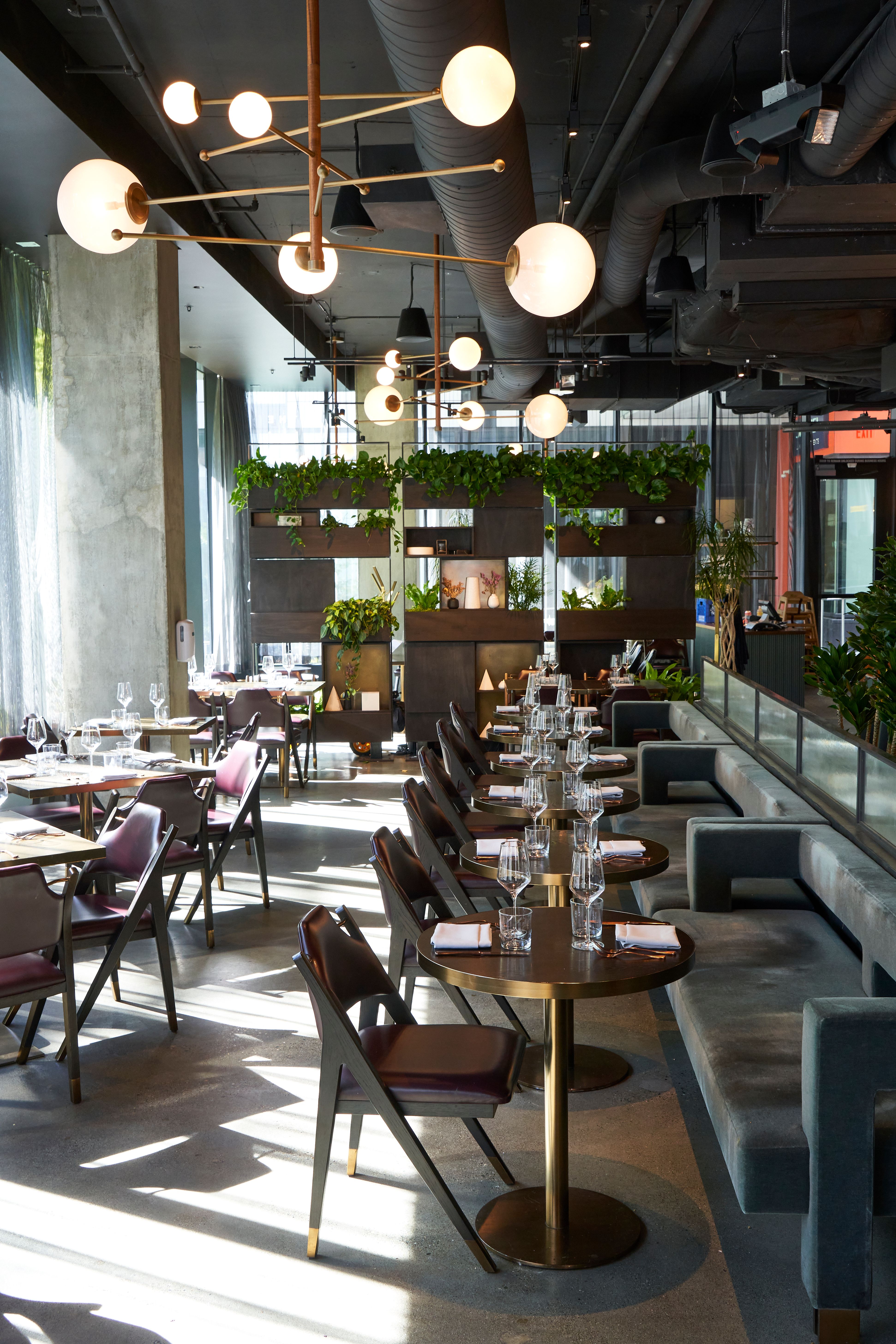 the-nest-photo-credit-jim-henkens-1