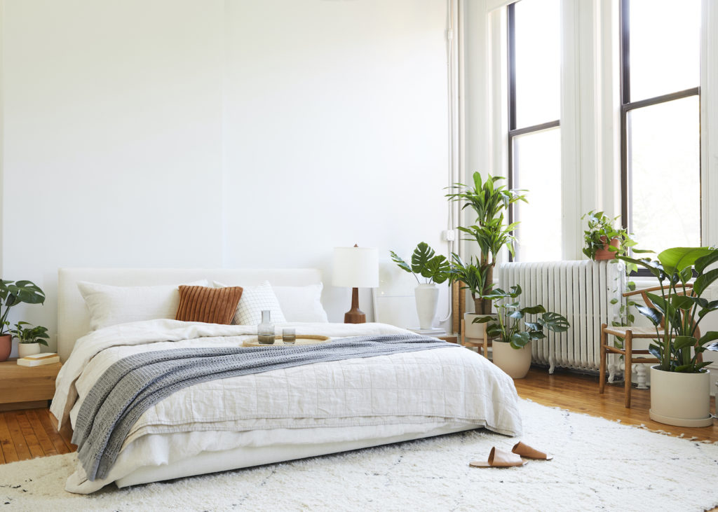 The Sill plant variety in bedroom.