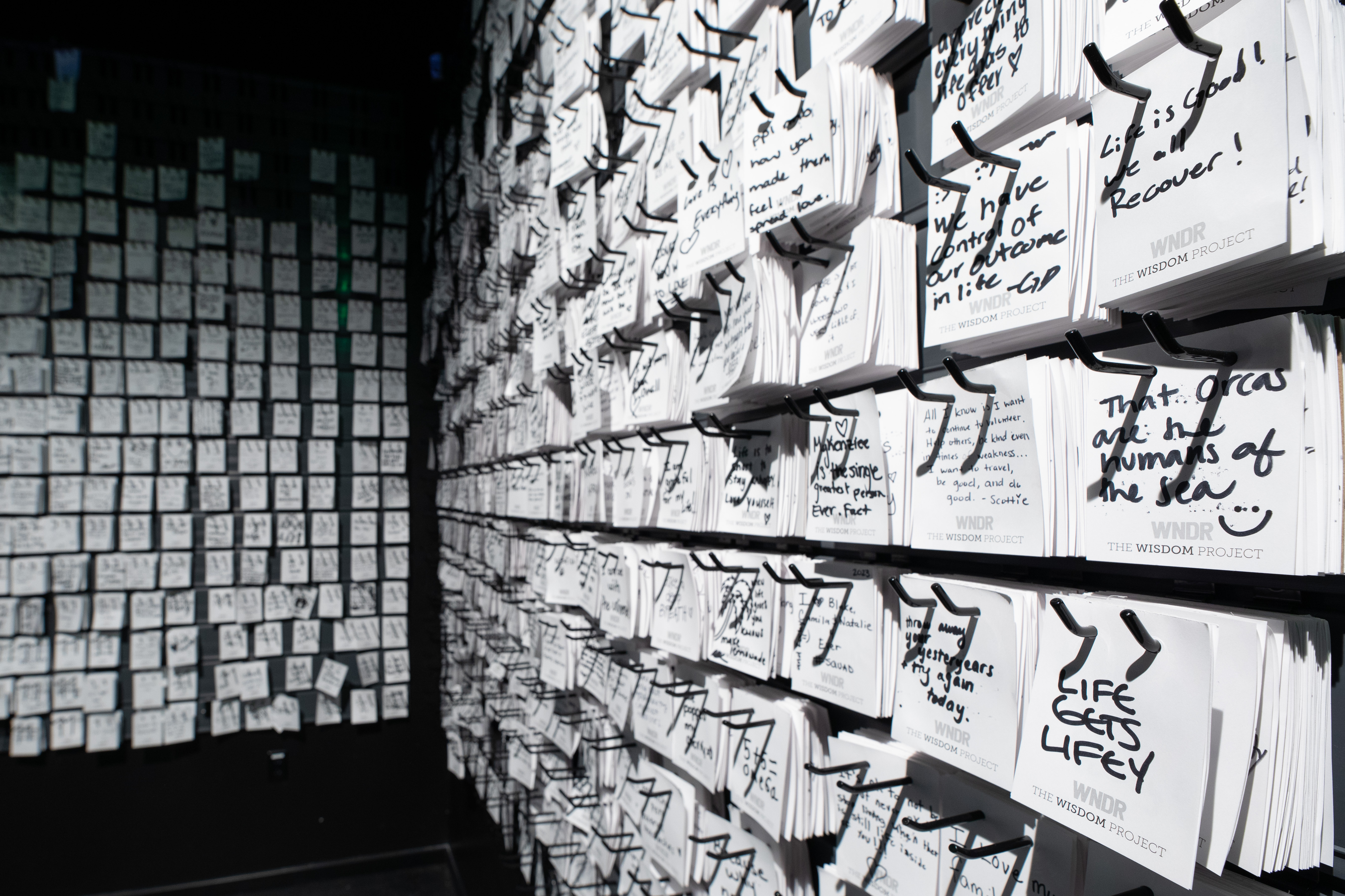 wndr-museum