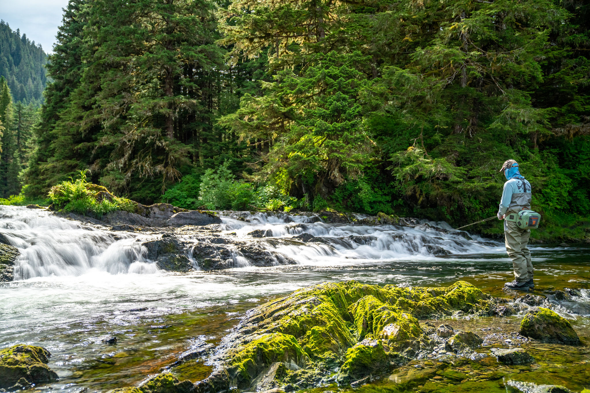 one-passenger-fly-fishes-in-a-beautiful-stream-with-eagles-watching-from-the-trees-above