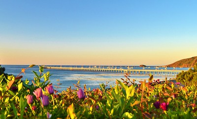 Avila Beach, California