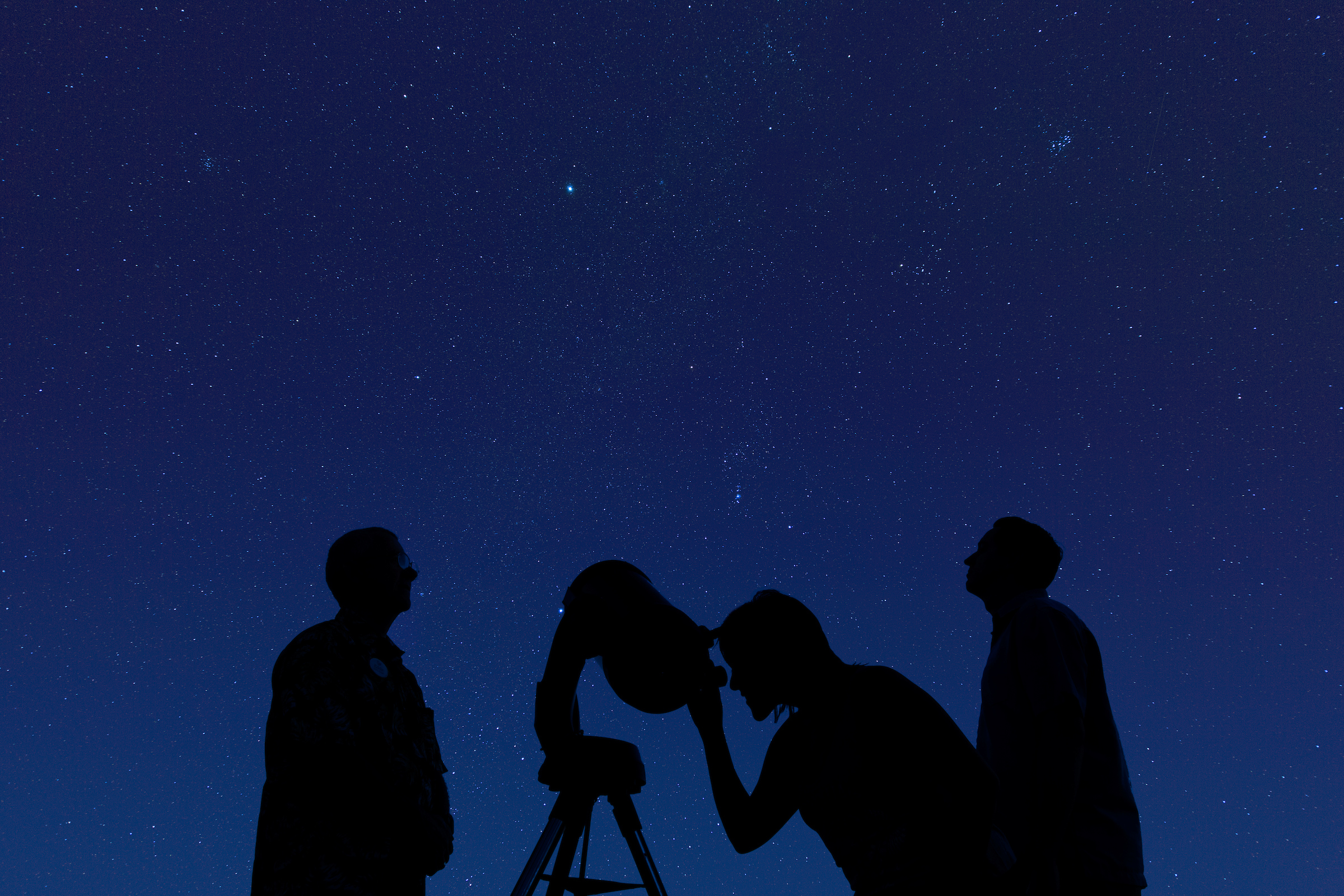 tour-of-the-stars-hyatt-regency-maui-resort-and-spa