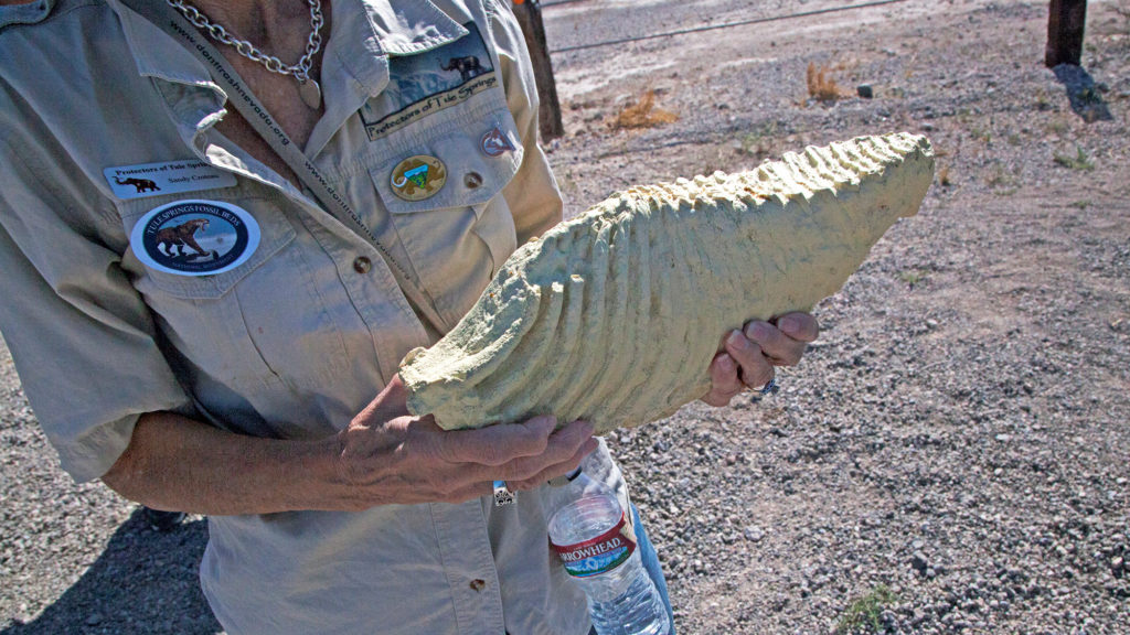 Tule Springs National Monument volunteer