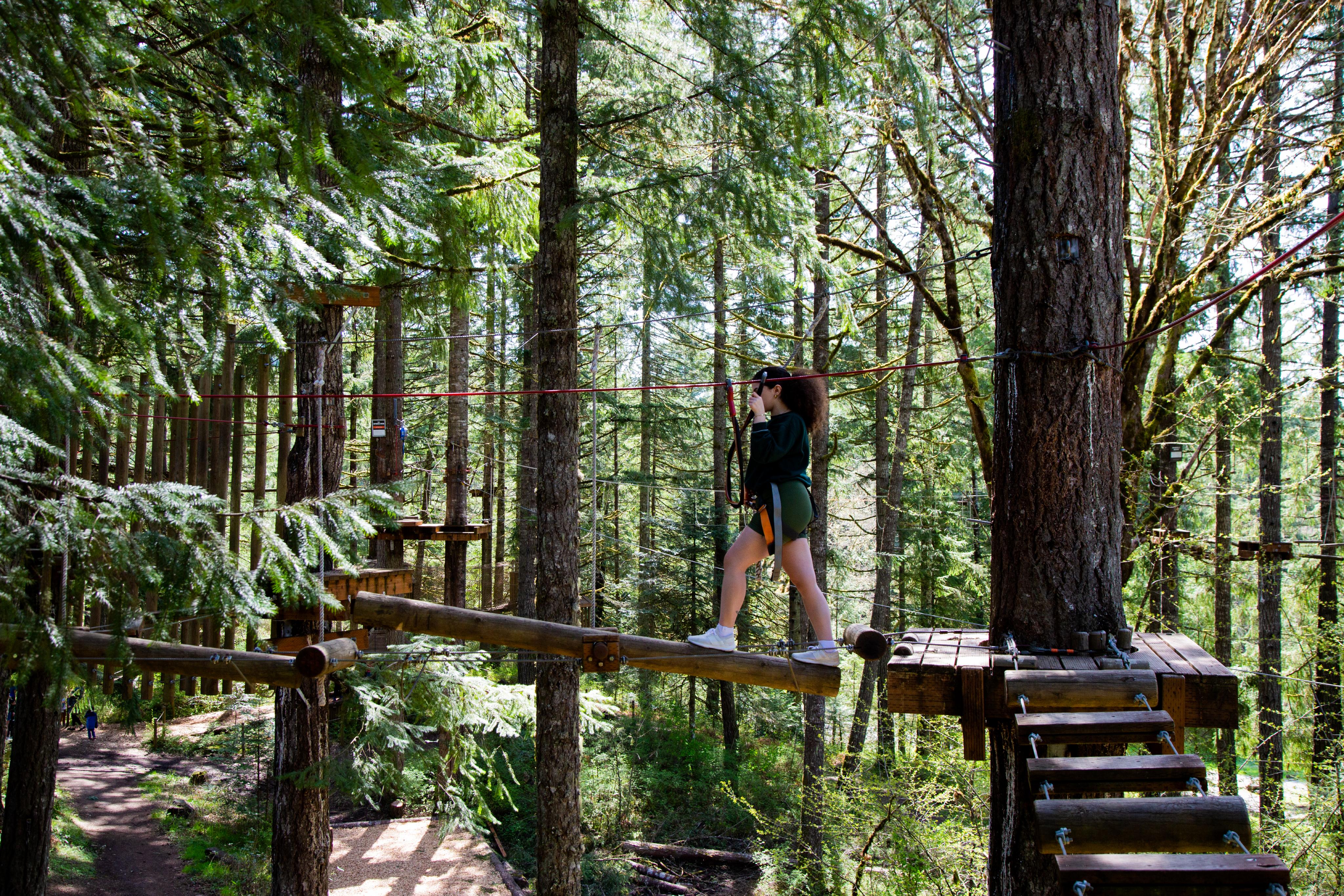 aerial-adventure-at-tree-to-tree-adventure-park