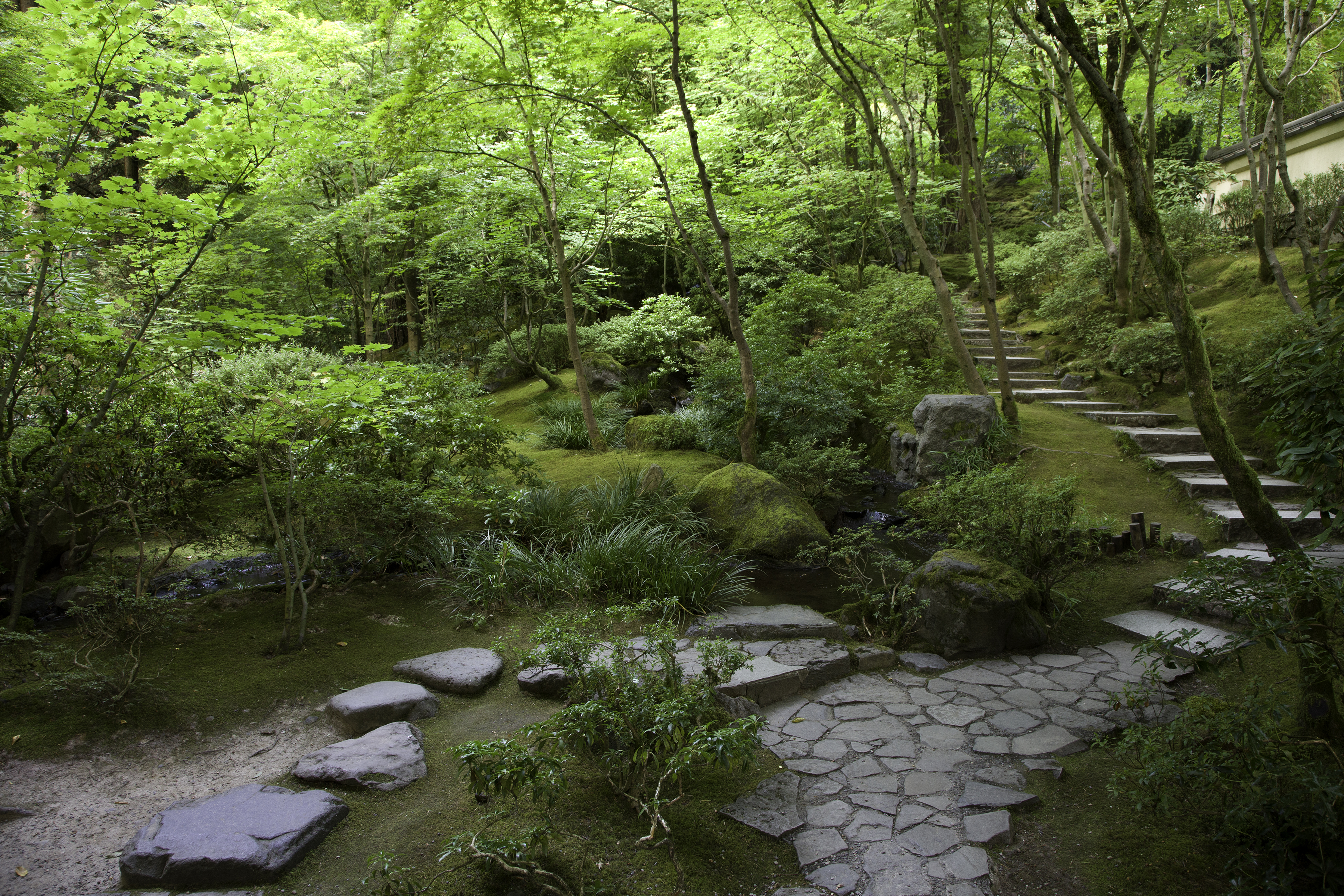 two-pavement-styles-in-the-natural-garden-photo-by-jack-jakobsen-1