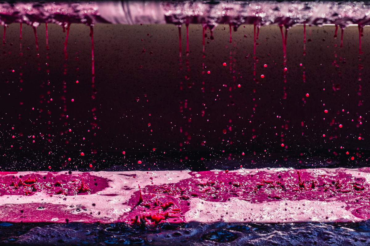 low-alcohol-low-intervention-high-elevation-wines