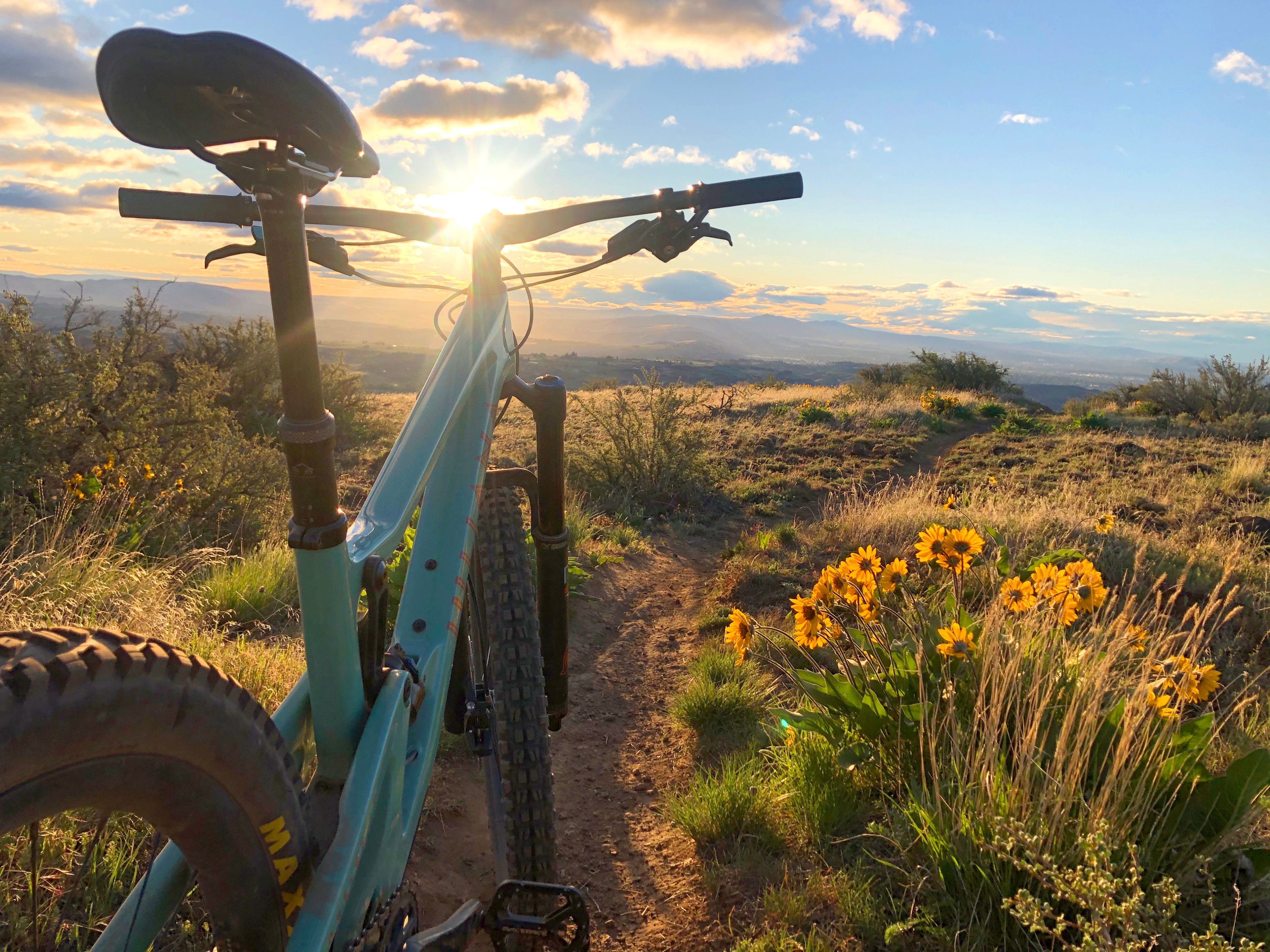 shrub-steppe-wildflower-trails