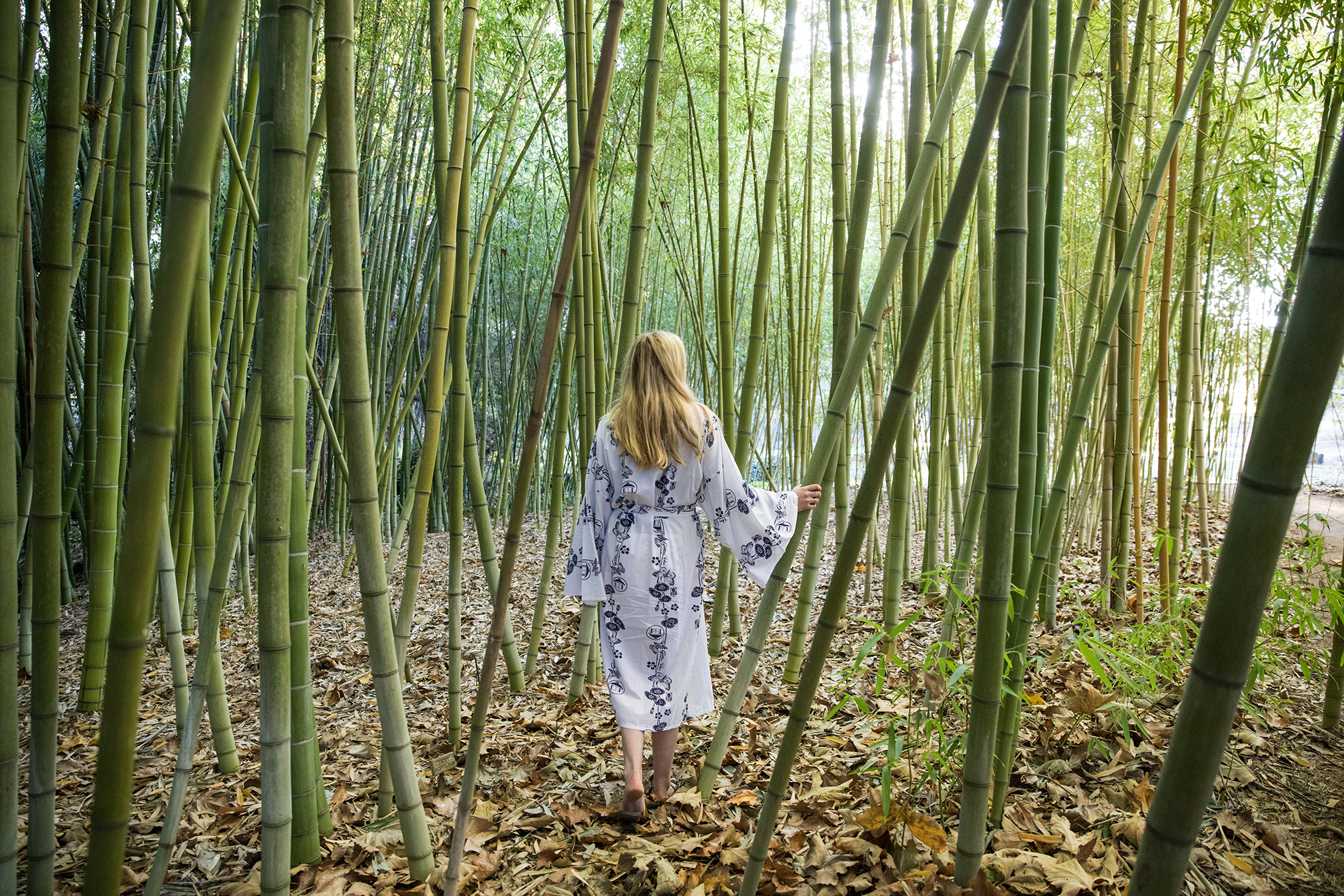golden-door-bamboo-forest
