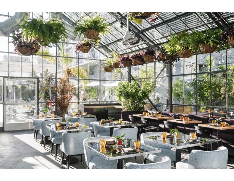 openaire-by-chef-josiah-citrin