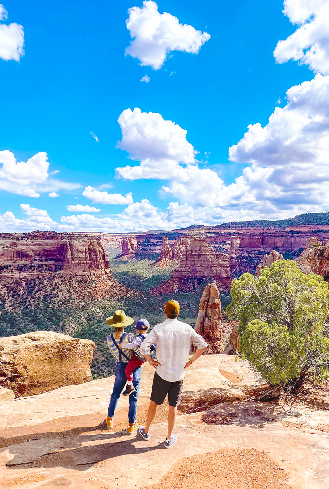 family-viewing-the-stunning-rock-formations-from-canyon-rim-trail-in-colorado-national-monument
