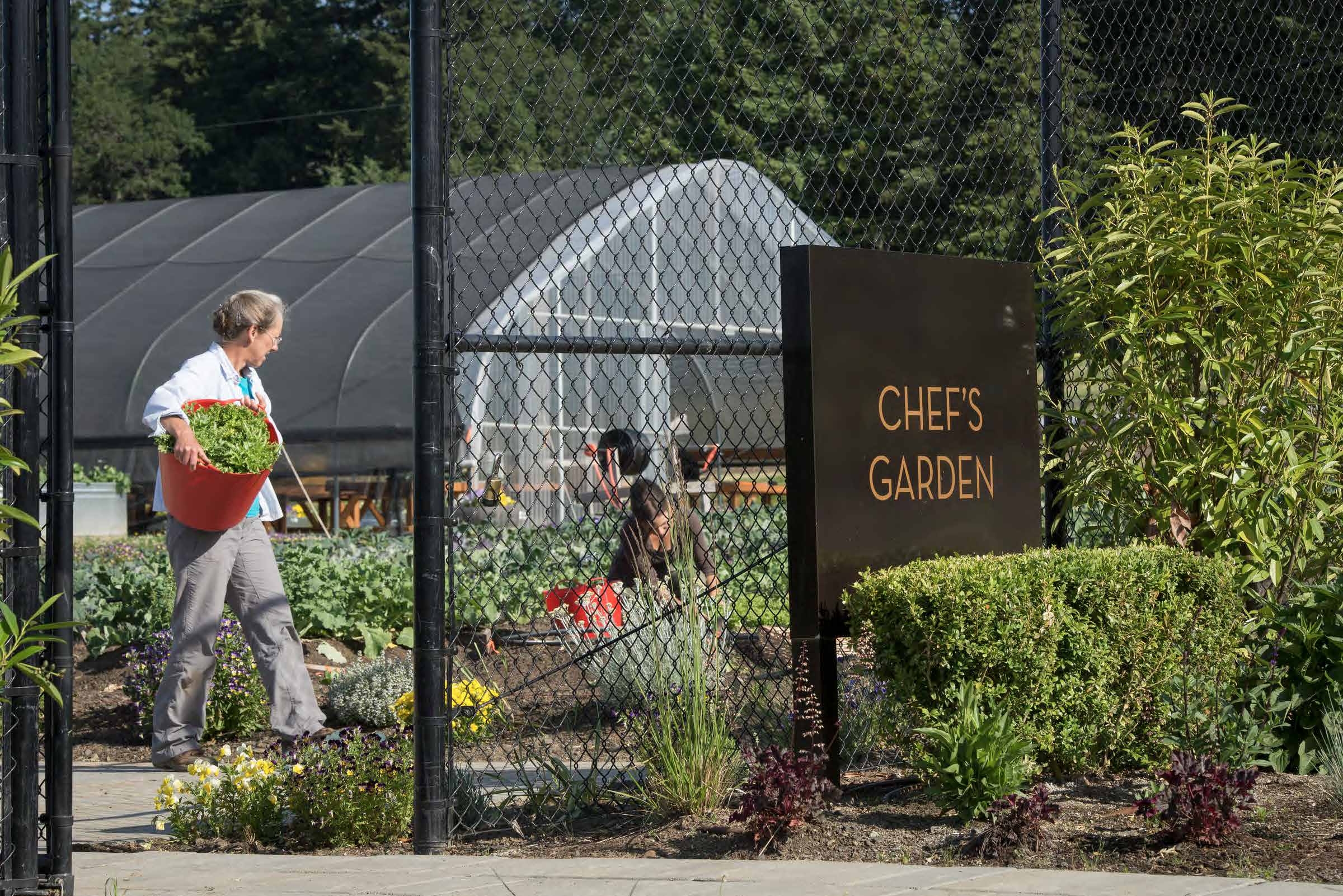 the-allison-inn-spa-chefs-garden