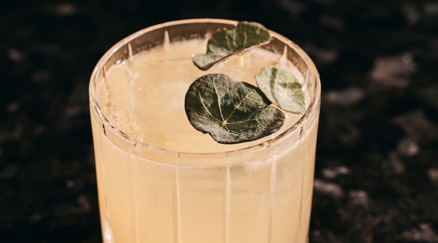 The Evening Sunshine Cocktail