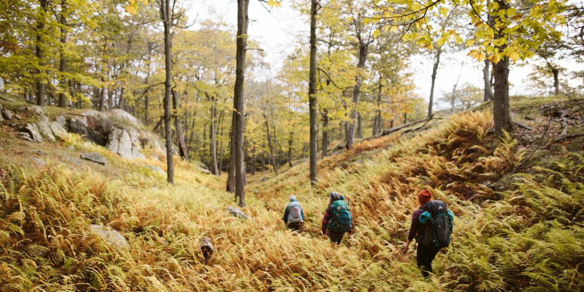 REI OptOutside Hiking Photo