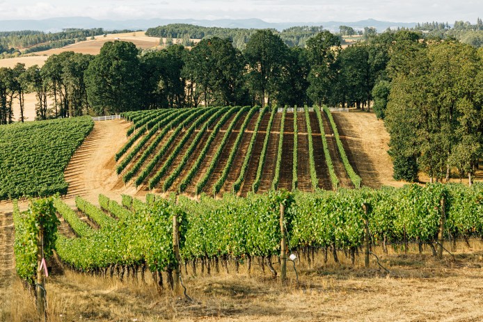 Van Duzer Vineyards