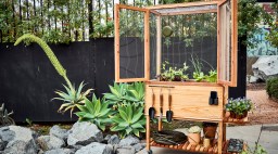 Raised Bed planter box by Victory Garden LA, surrounded by flowers and succulents