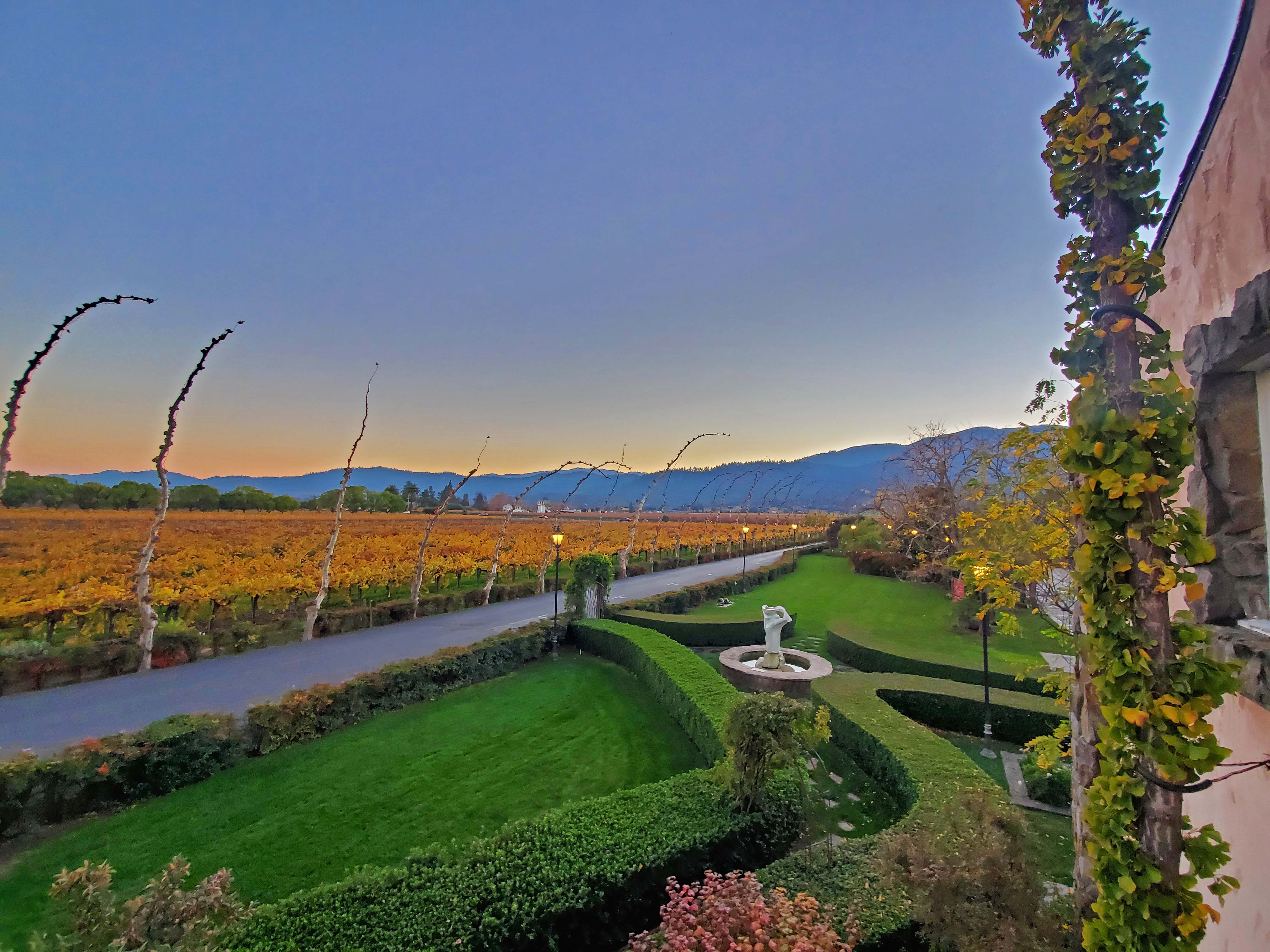 viewfrombalcony_fall2021-1