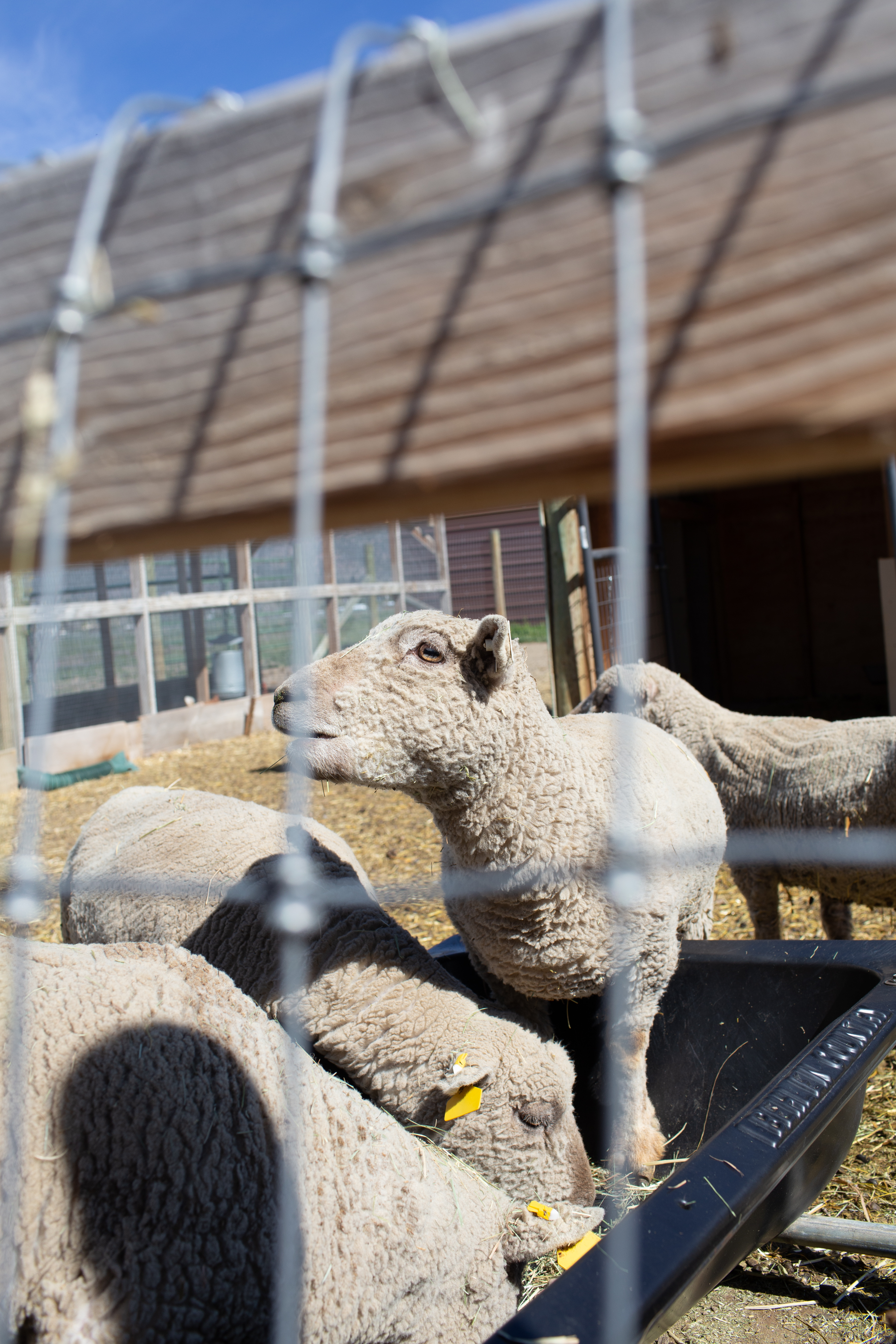 visitcenraloregon_perfectfooddays_lsfarm02