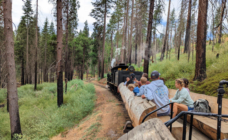 yosemite-mountain-sugar-pine-railroad-sierra-national-forest-views