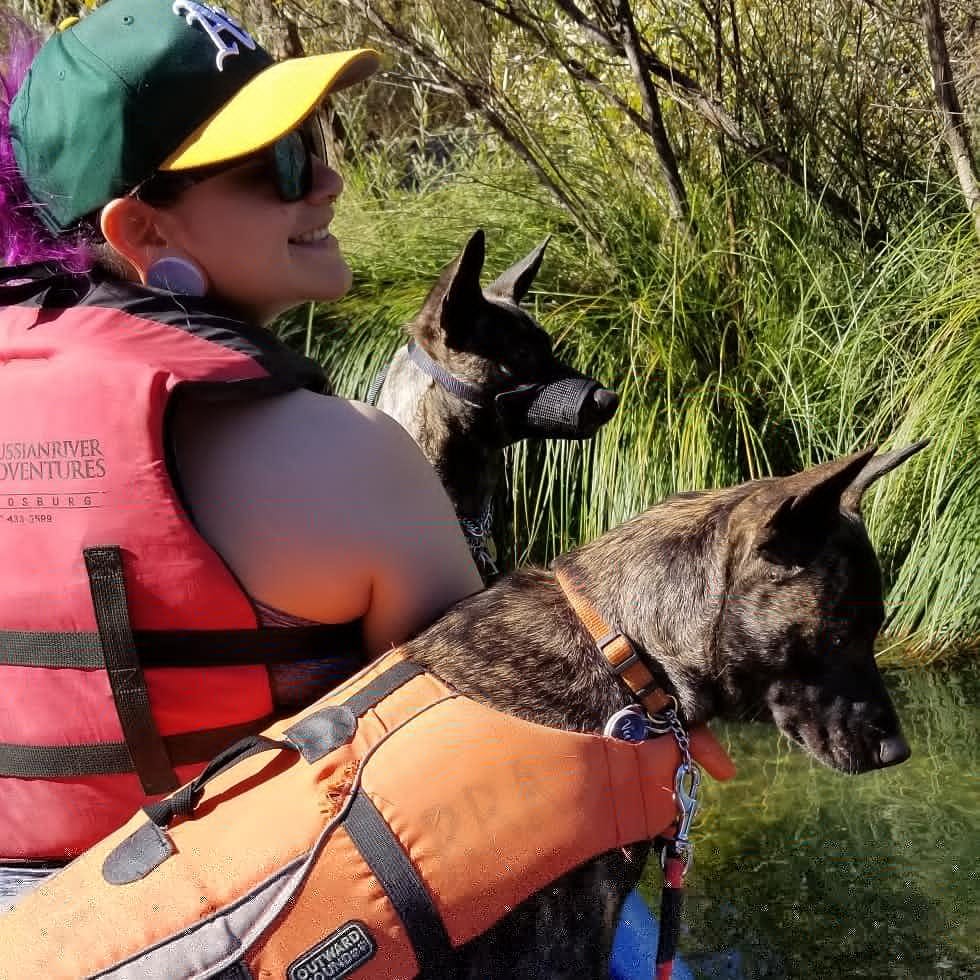 this-is-what-its-all-about