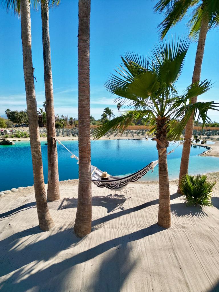 whatsapp-image-2023-02-28-at-1-12-23-pm